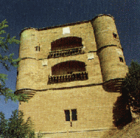 /album/fotogaleria-que-ver-y-turismo-del-entorno1/torre-del-caracol-benavente-gif1/